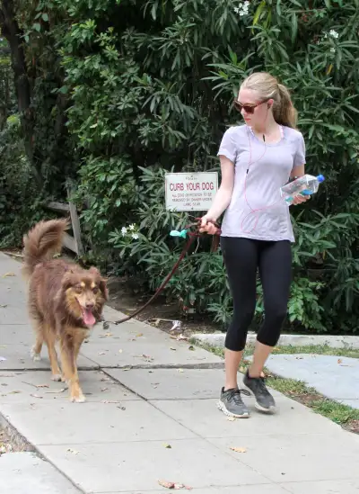 Amanda Seyfried's Leisurely Stroll in Los Angeles: A Day in the Life